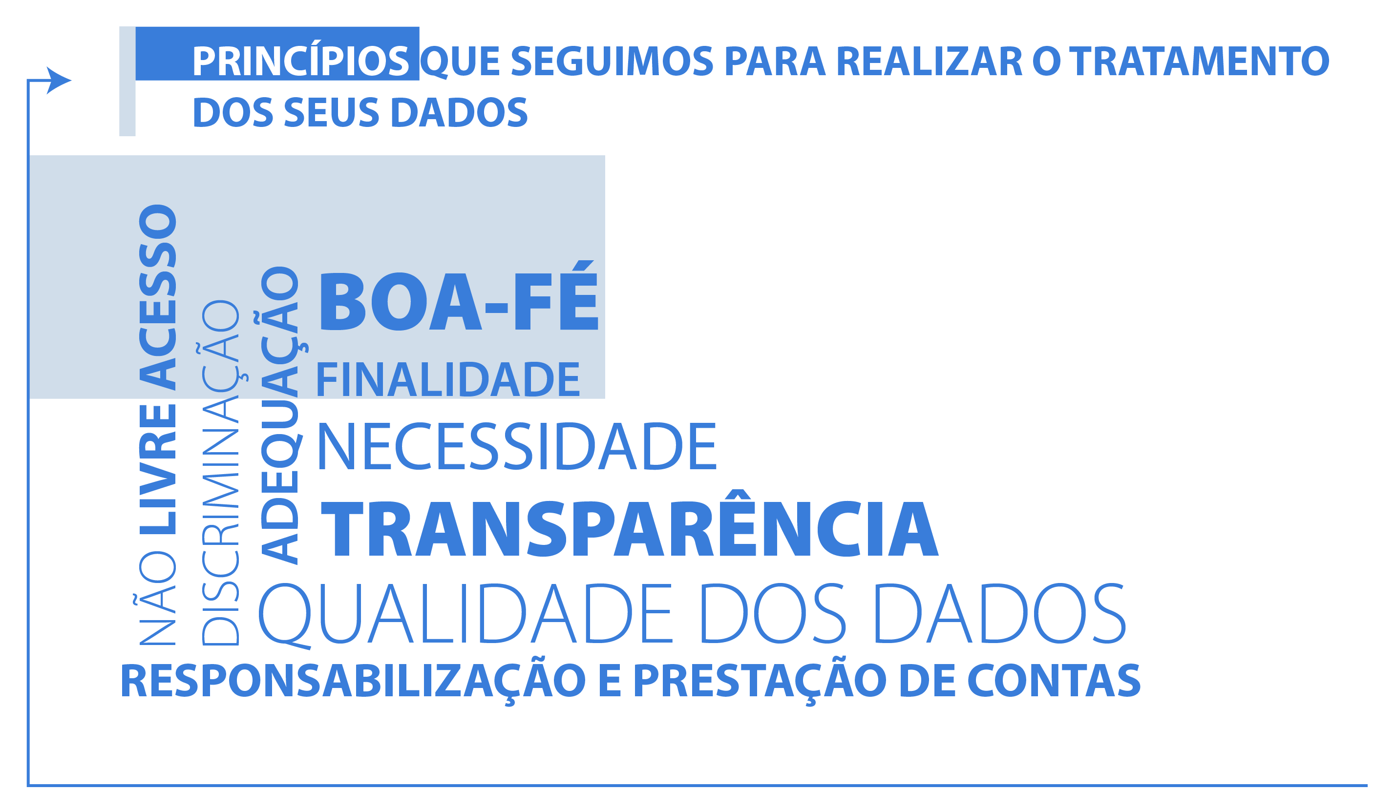 PRINCÍPIOS QUE SEGUIMOS PARA REALIZAR O TRATAMENTO DOS SEUS DADOS:
NÃO LIVRE ACESSO,
DISCRIMINAÇÃO,
ADEQUAÇÃO,
BOA-FÉ,
FINALIDADE,
NECESSIDADE,
TRANSPARÊNCIA,
QUALIDADE DOS DADOS,
RESPONSABILIZAÇÃO E PRESTAÇÃO DE CONTAS